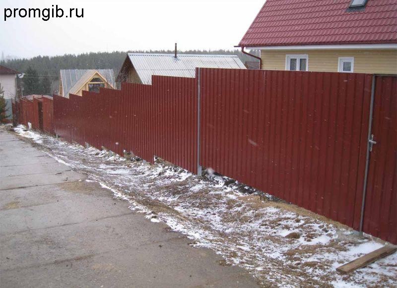 zabor_iz_proflista_1